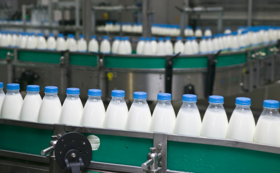 industria láctea